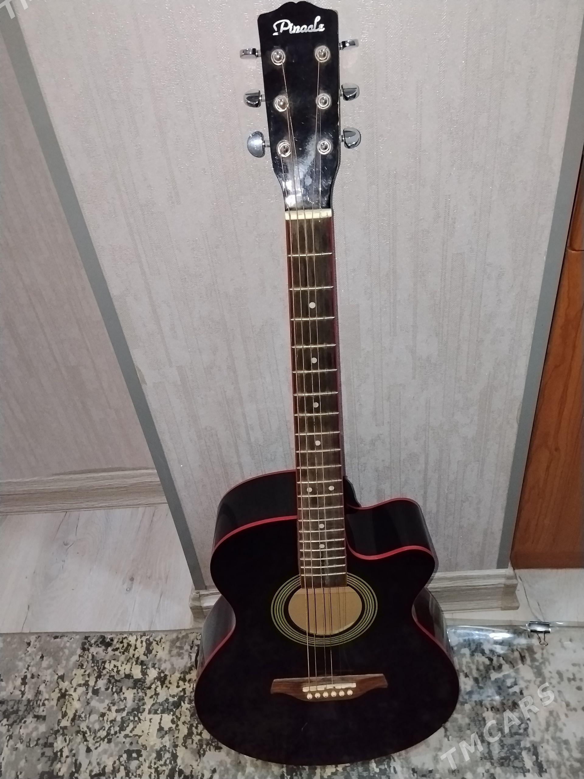 Gitara Pinacle - Туркменбаши - img 1