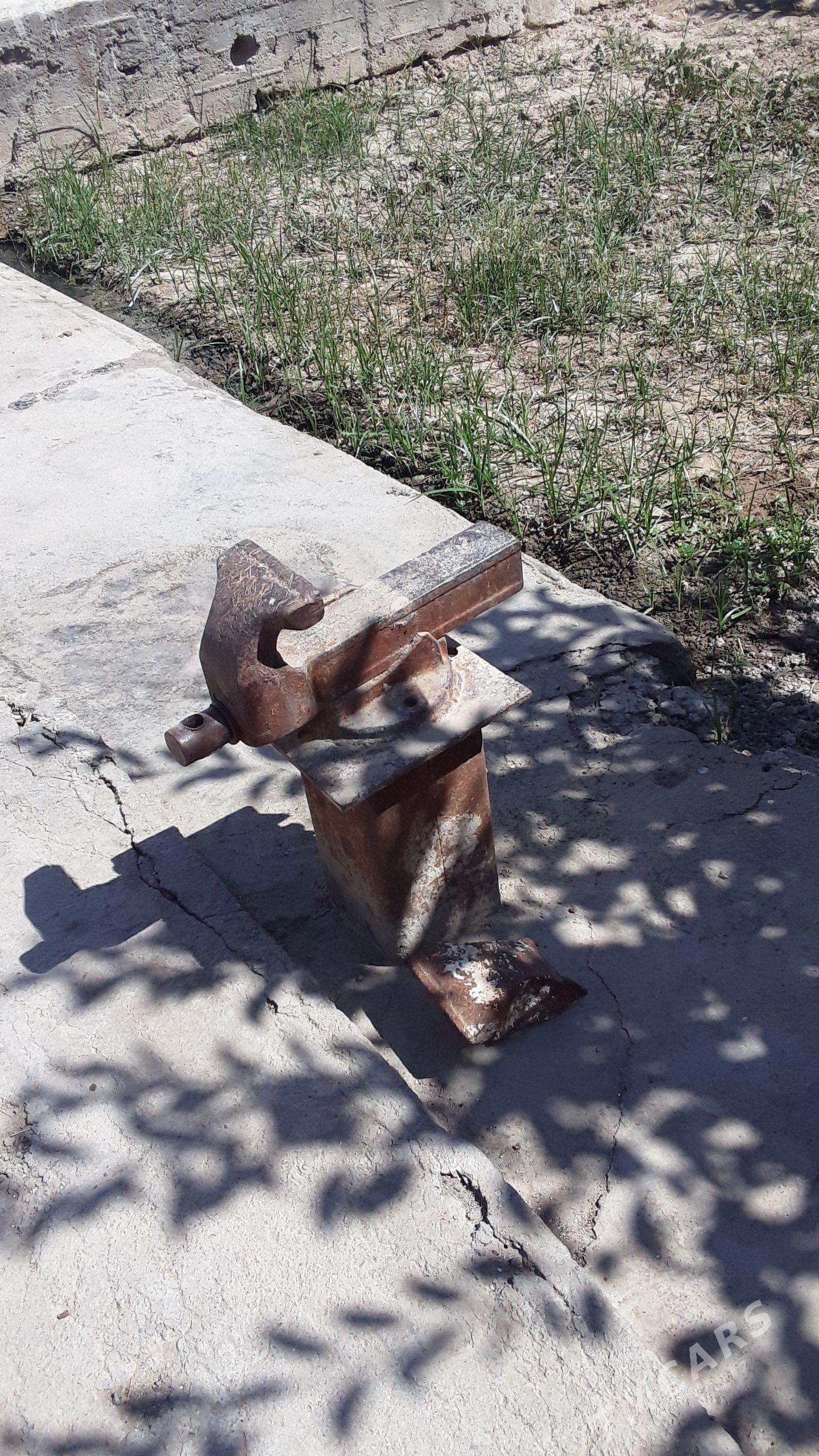 Tisgi - Büzmeýin - img 1