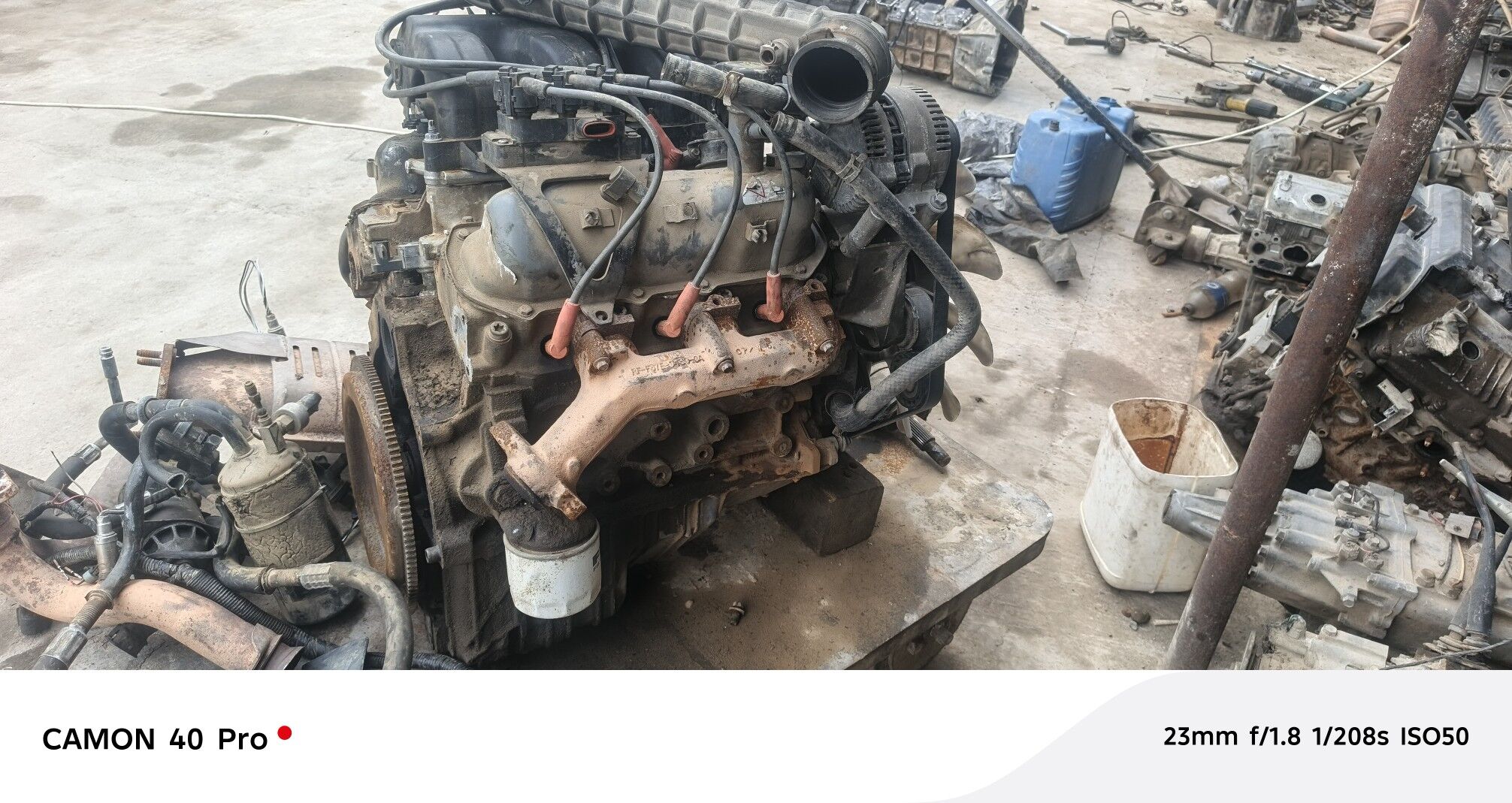diwitel 6 000 TMT - Бахарден - img 1