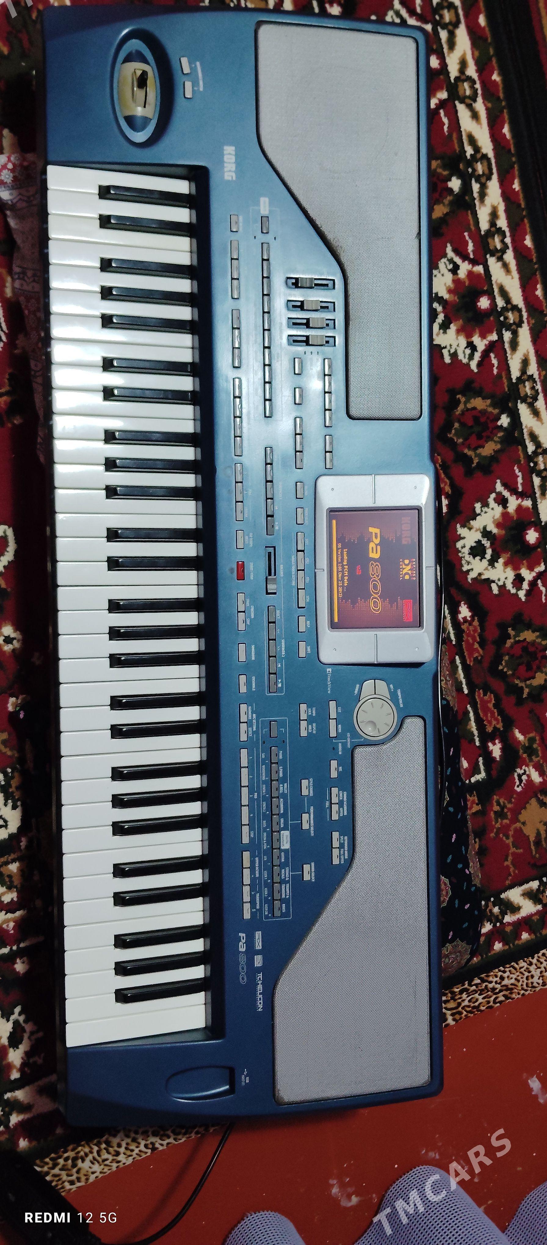 KORG PA 800 - Daşoguz - img 1