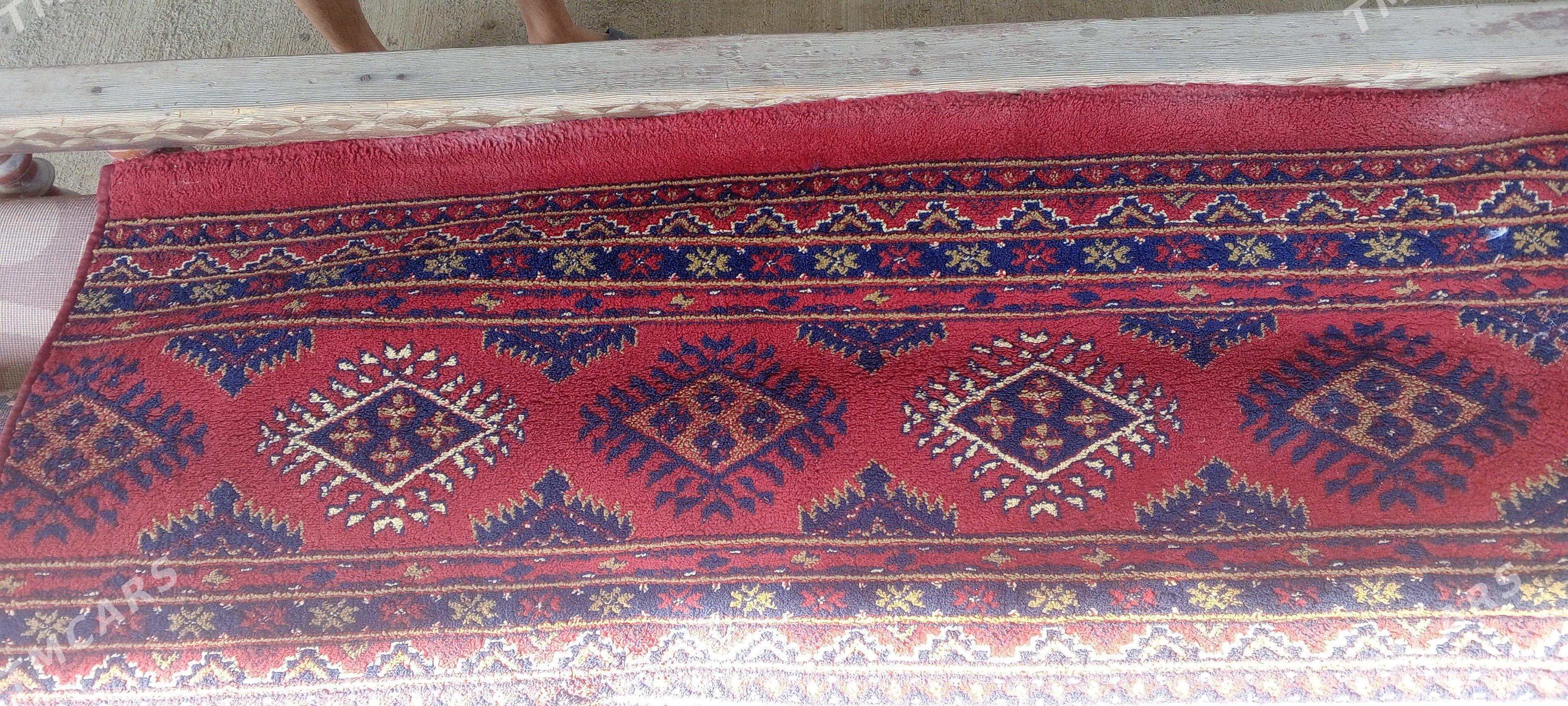 Daroşka - Тязе заман - img 1