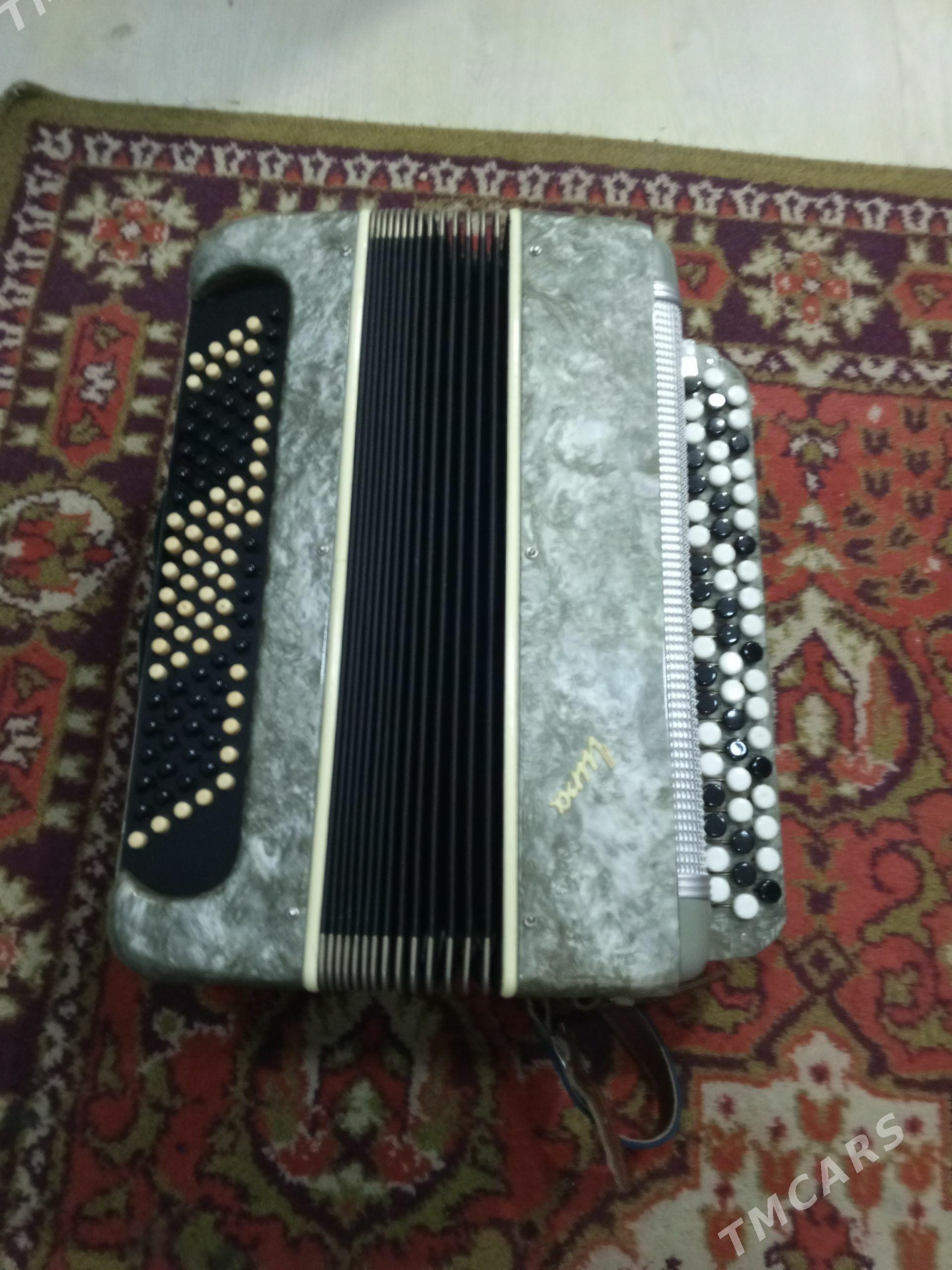 Баян - Aşgabat - img 1