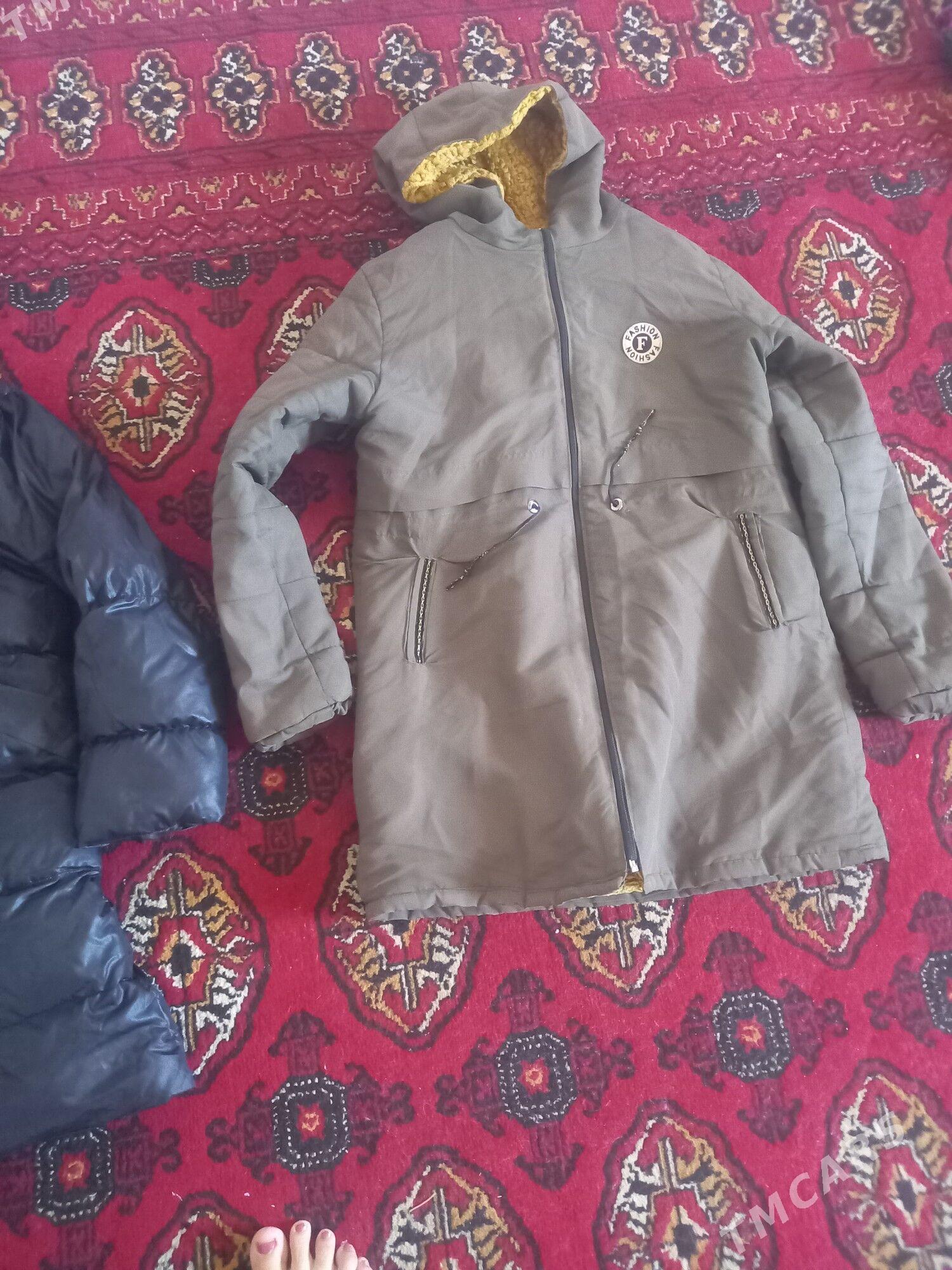 kurtga - Daşoguz - img 1