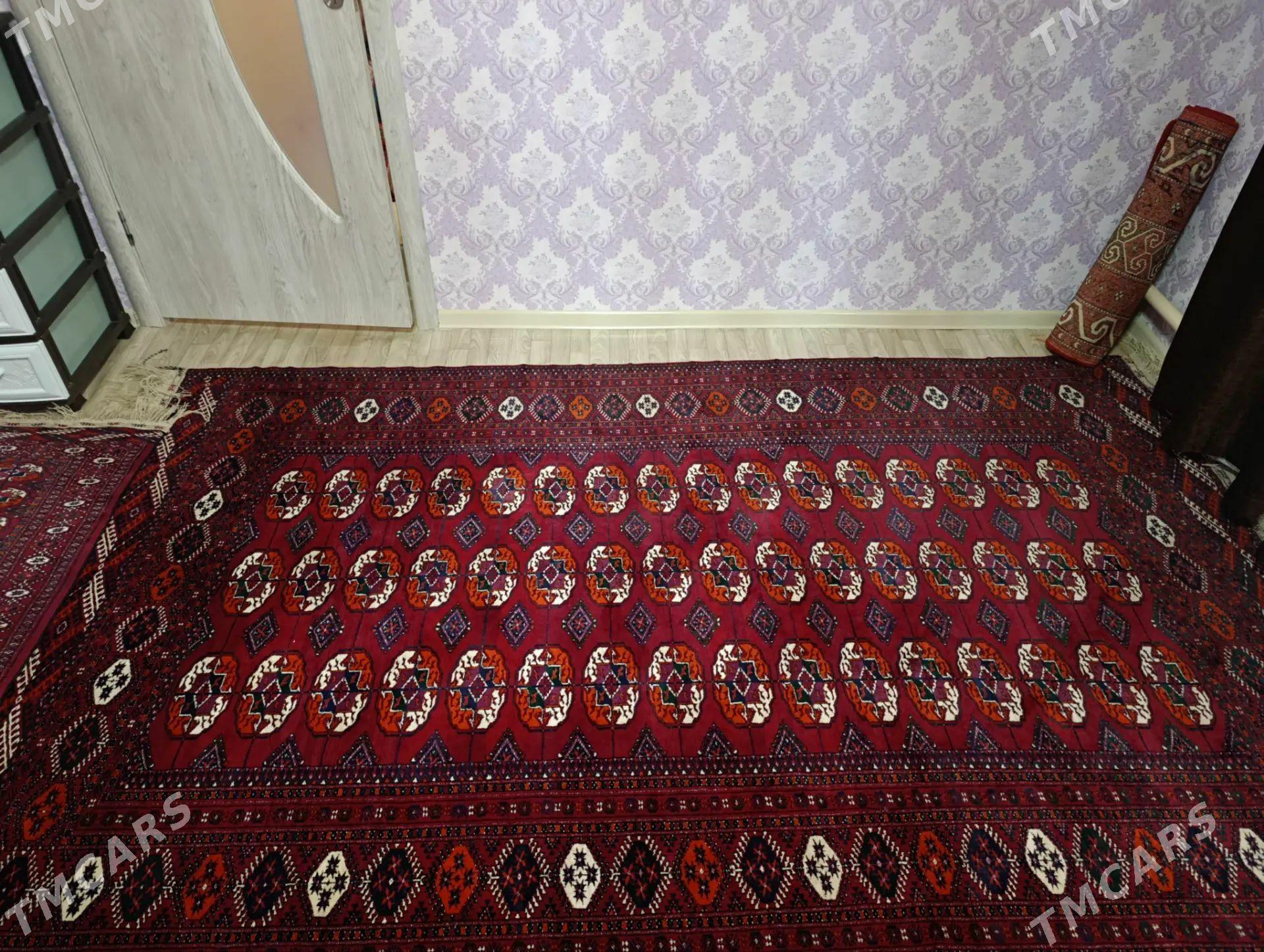 Haly satlyk - Balkanabat - img 1