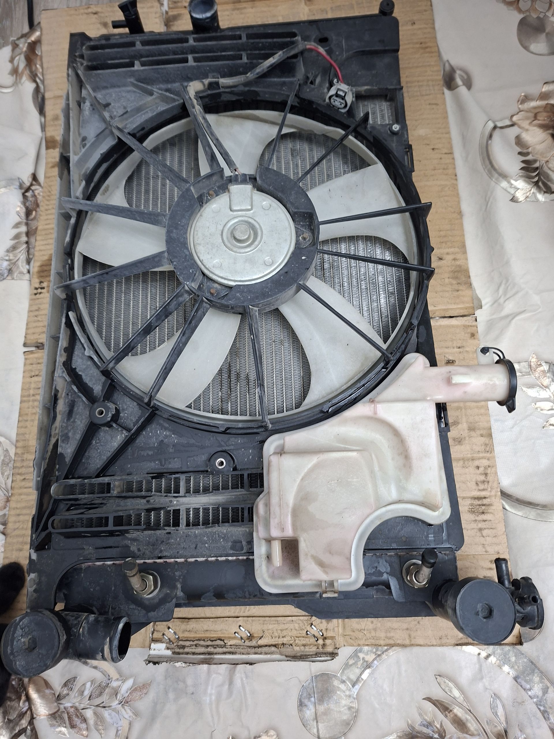 Radiator matorçik lotus 1 000 TMT - Aşgabat - img 1