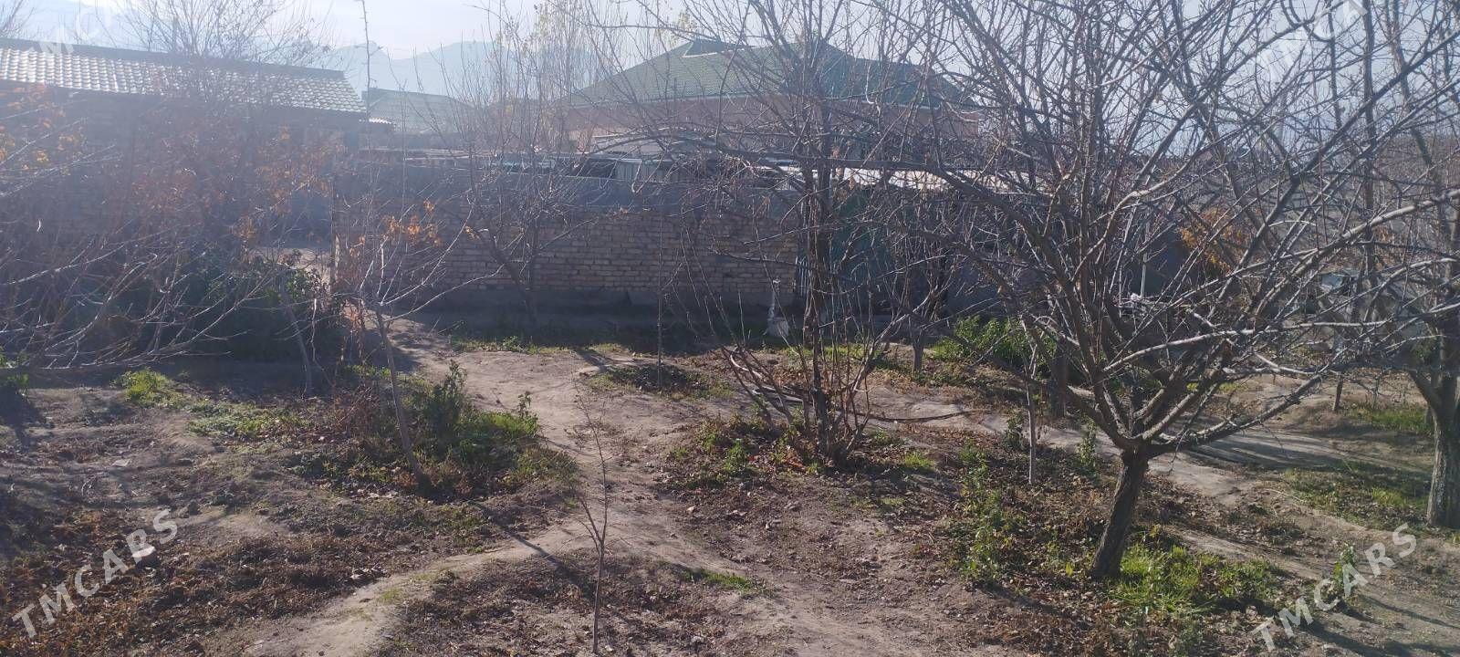 Багир Bagyr - Багир - img 1
