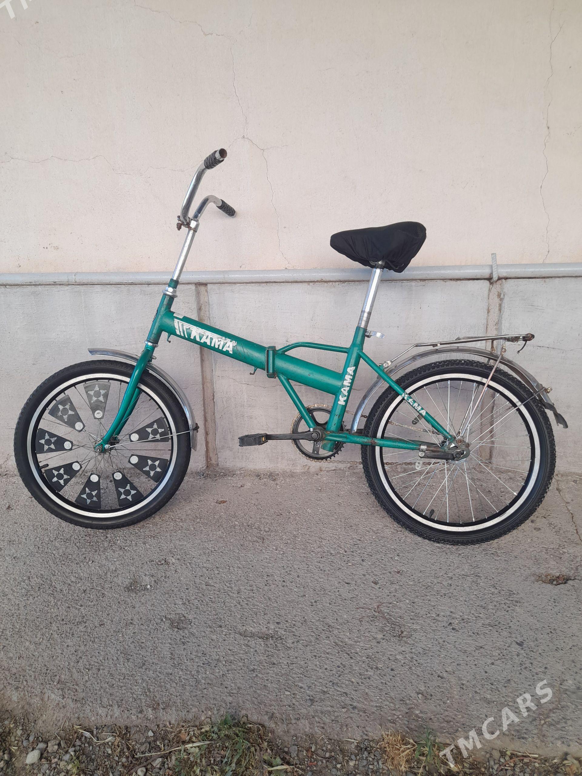 Kama tigir - Gyzylarbat - img 1
