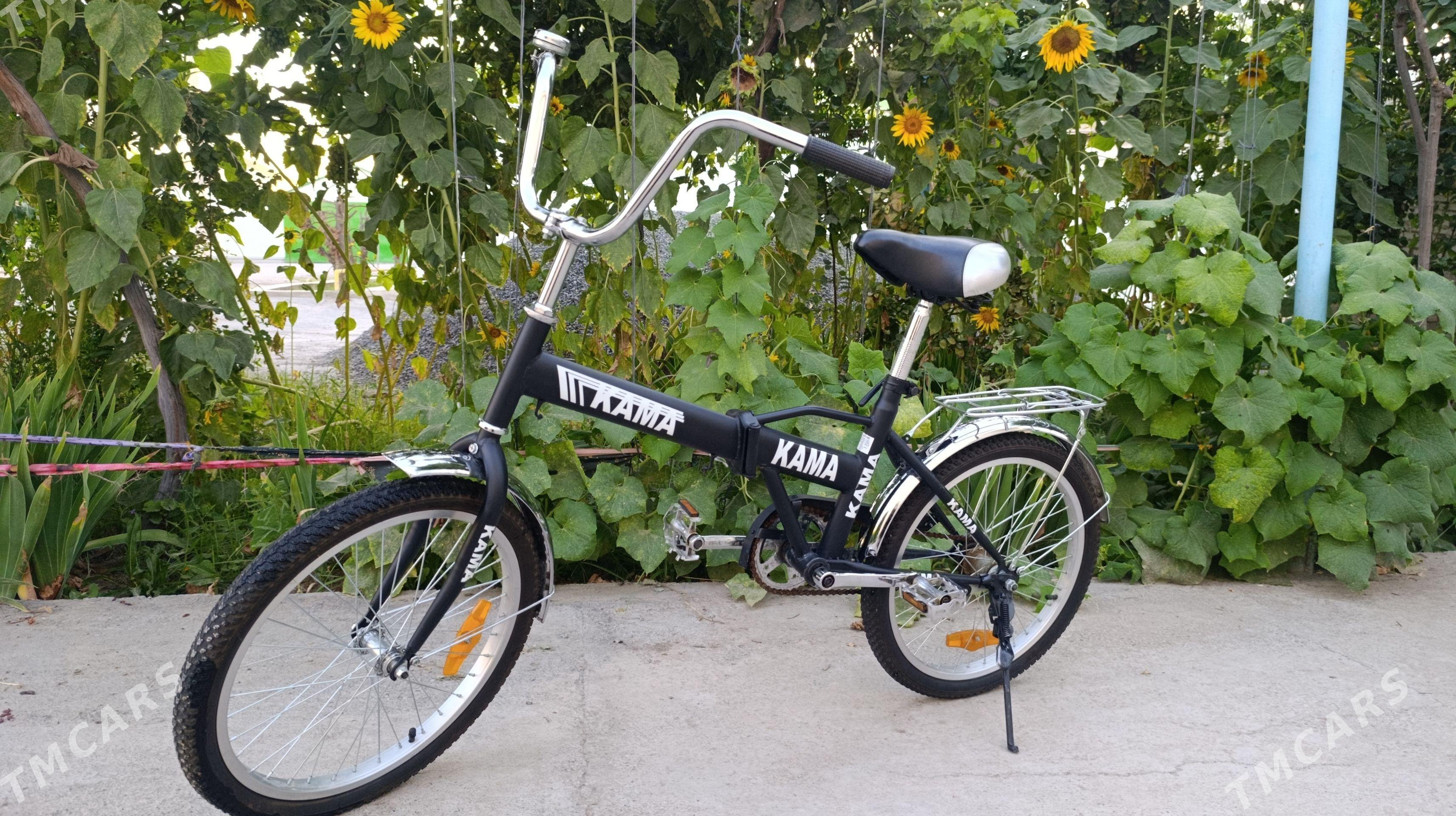 Kama tigir - Ak bugdaý etraby - img 1