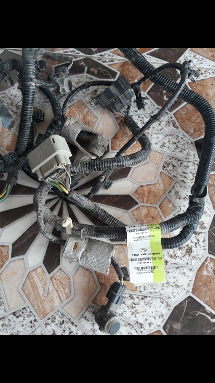 Parktronik 1 000 TMT - Tejen - img 1
