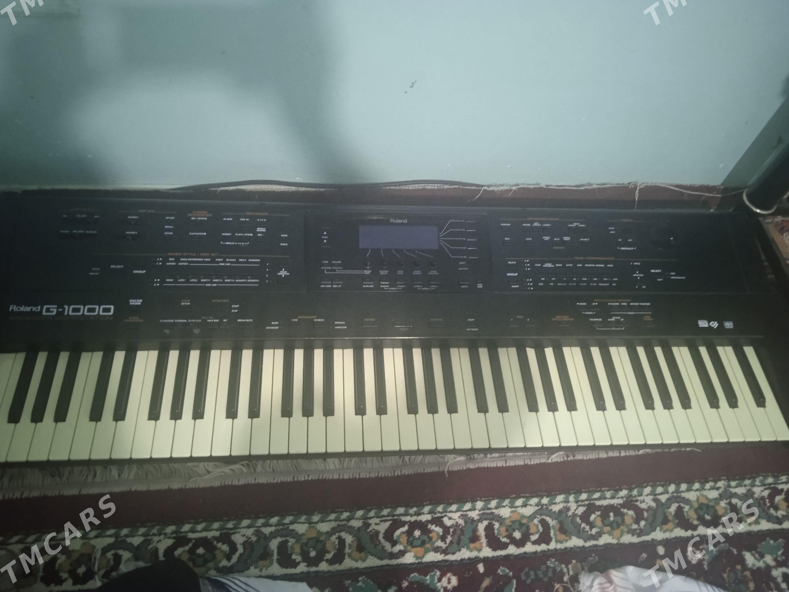 Roland G 1000 - Balkanabat - img 1