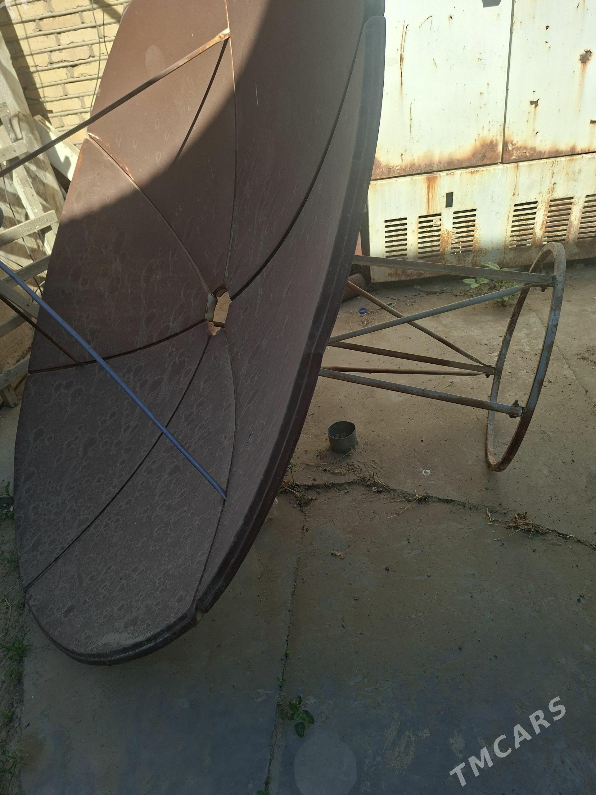 Antena - Sakarçäge - img 1