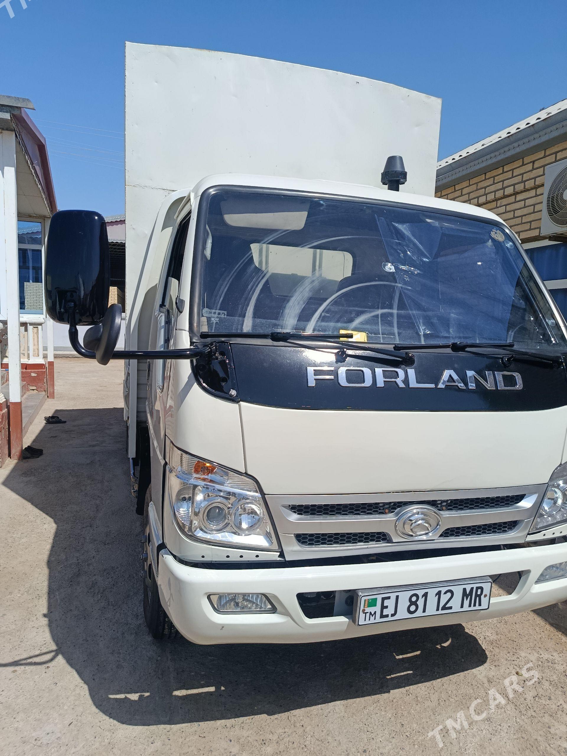 Forland H3 2014 - 170 000 TMT - Mary - img 1