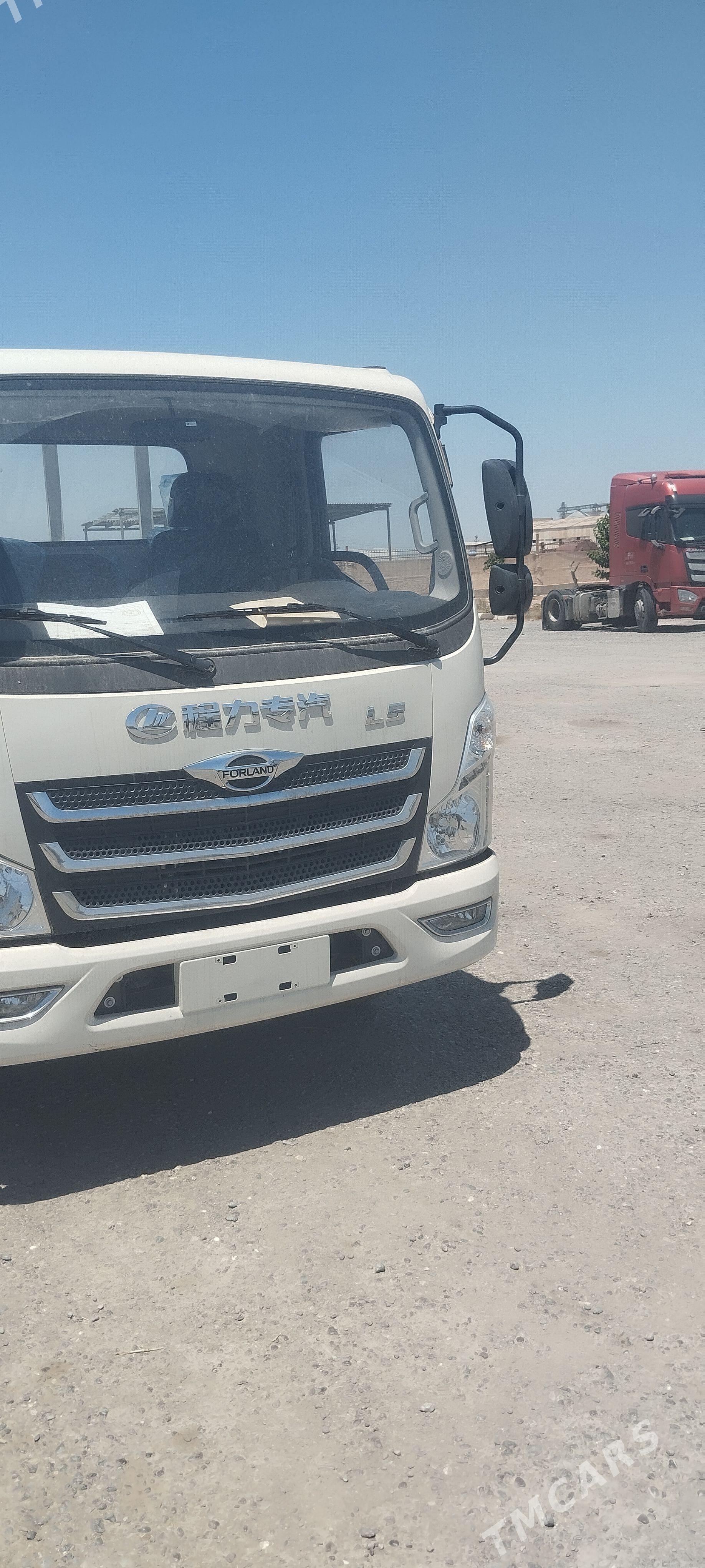 Forland H2 2026 - 310 000 TMT - Halaç - img 1