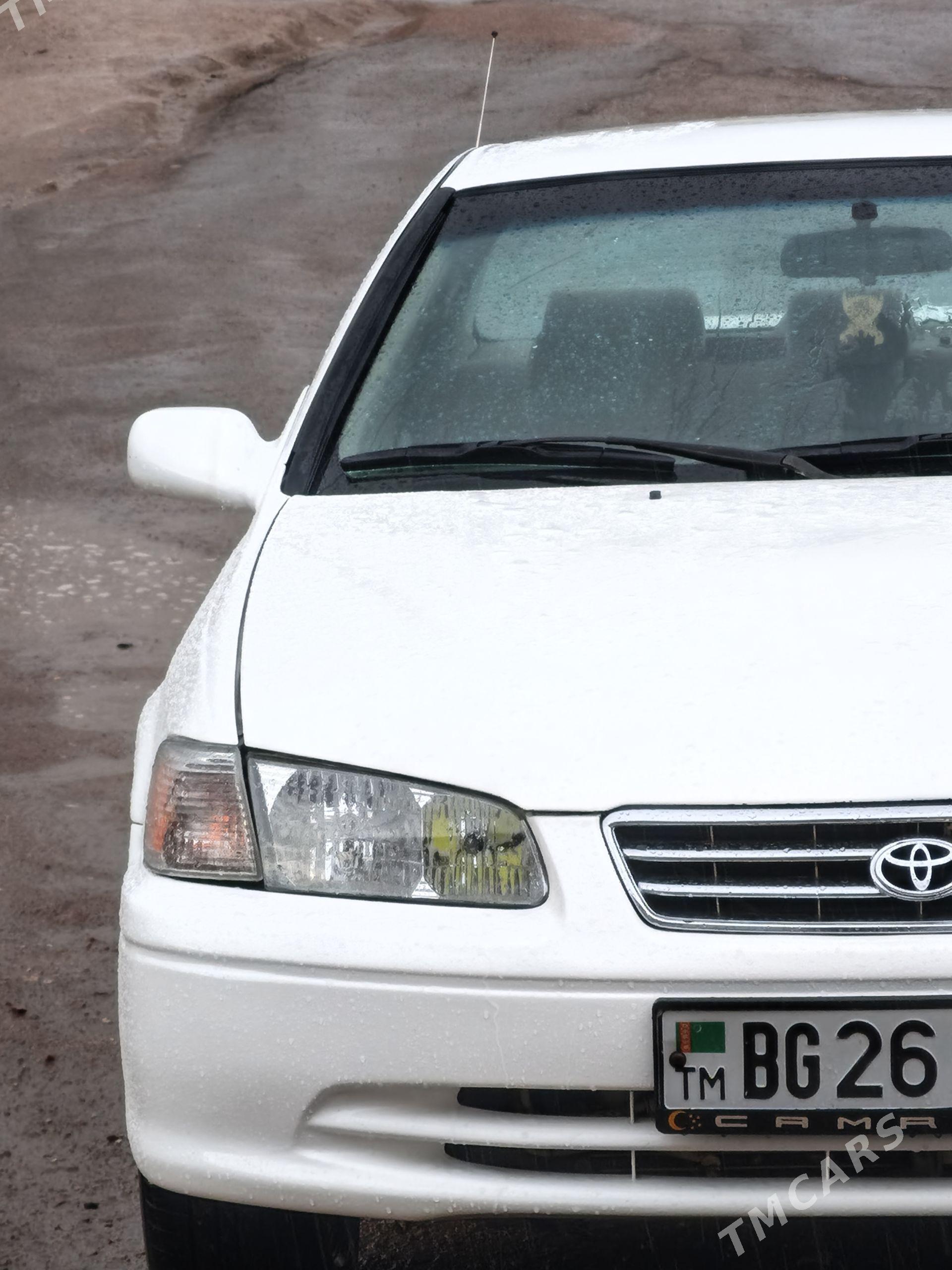 Toyota Camry 2002 - 160 000 TMT - Gubadag - img 1