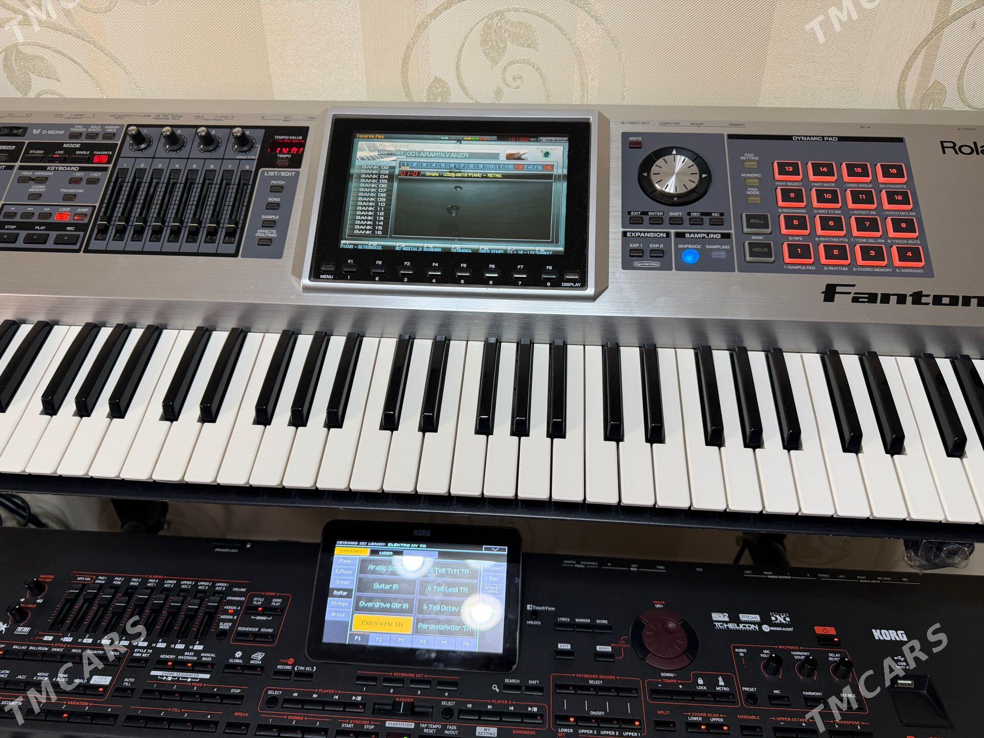 Roland Danton g6 - Türkmenbaşy - img 1