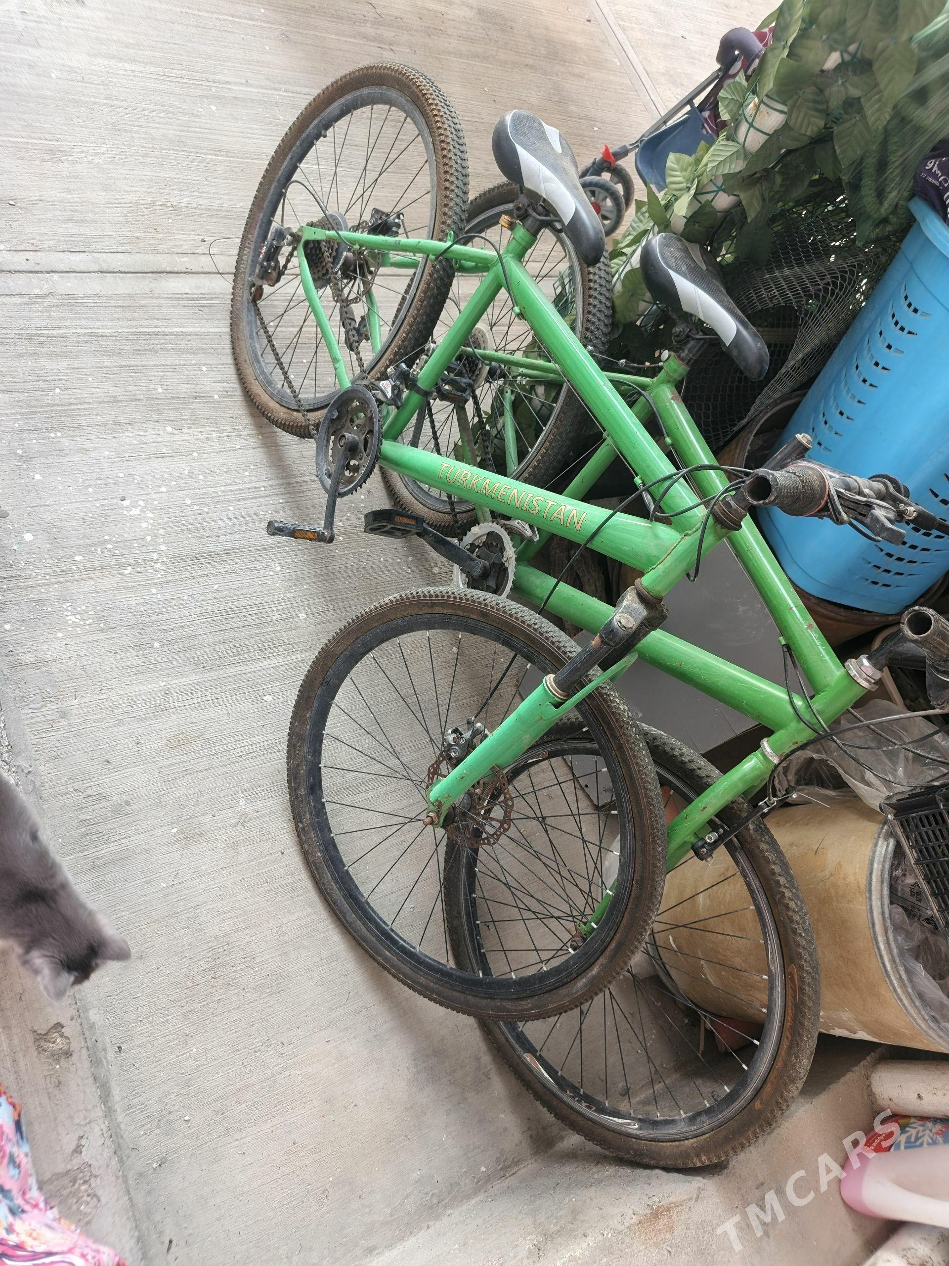 Turkmenistan tigir - Aşgabat - img 1