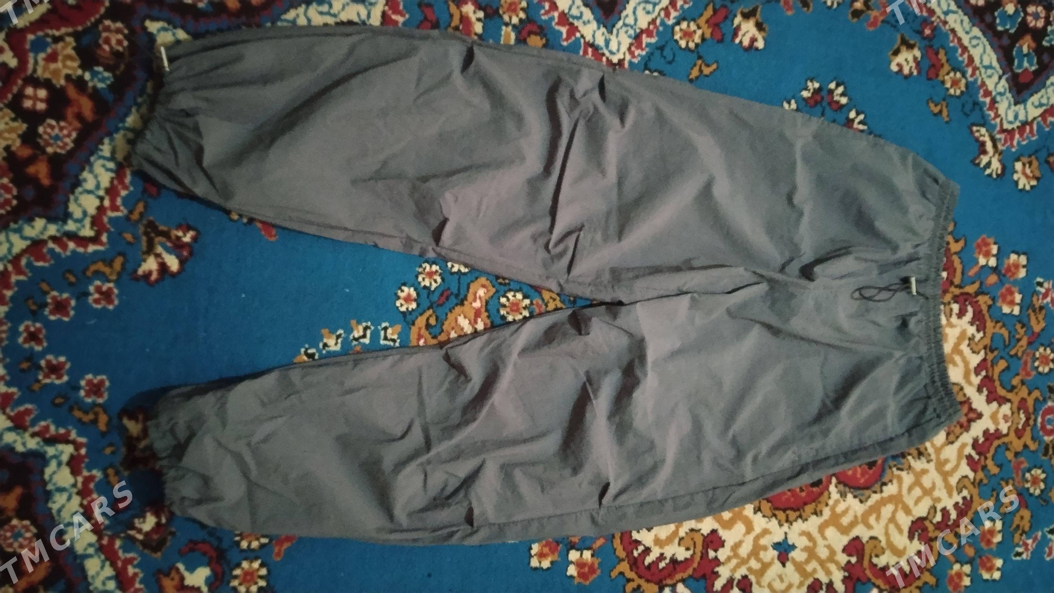 gyzlar üçin balak, jinsy - Görogly (Tagta) - img 1