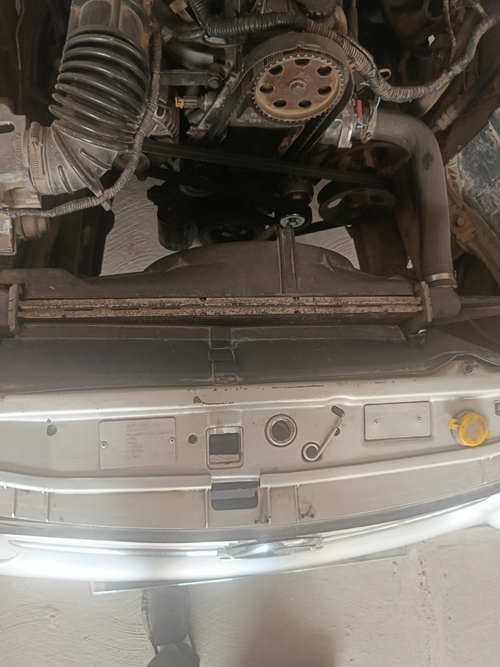 2 Opel radiyator Amega. B. 1 000 TMT - Türkmenabat - img 1