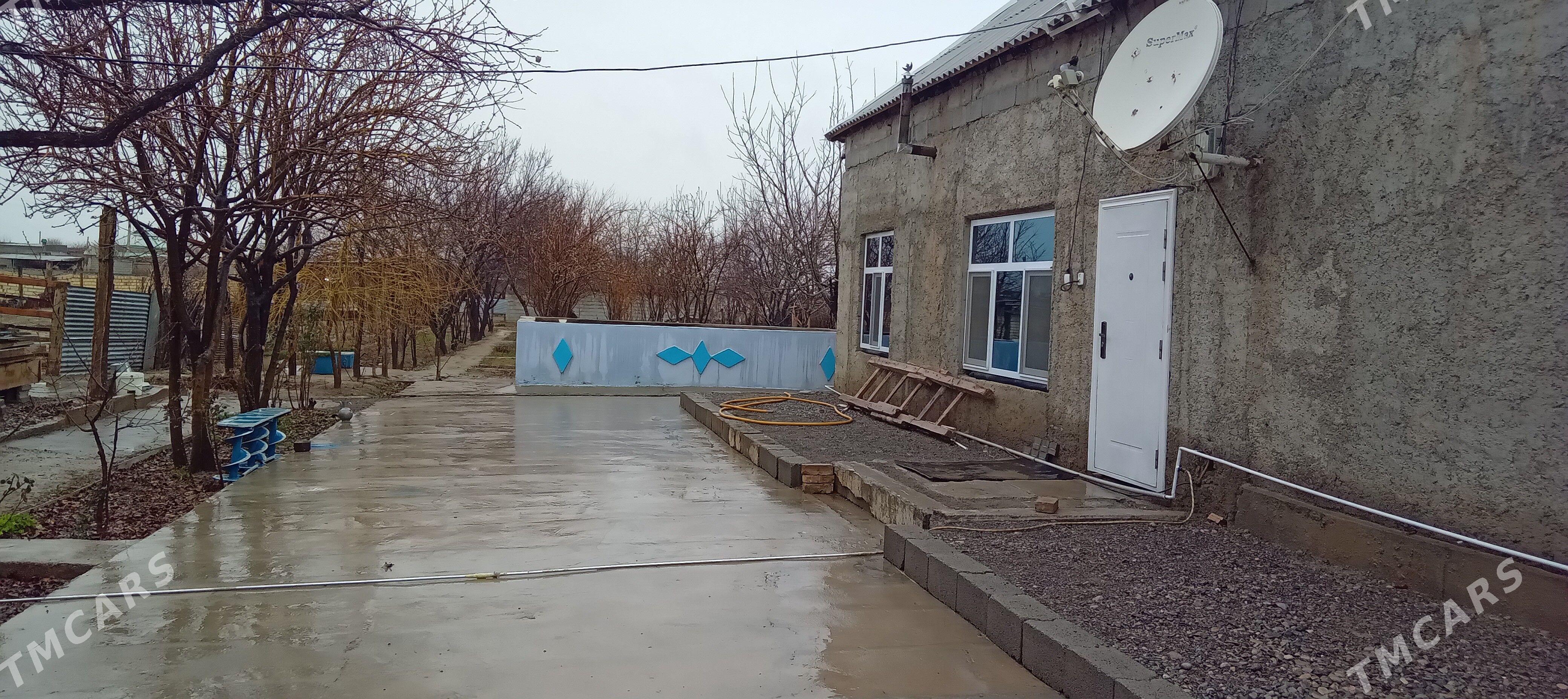 satlyk jay - Кака - img 1