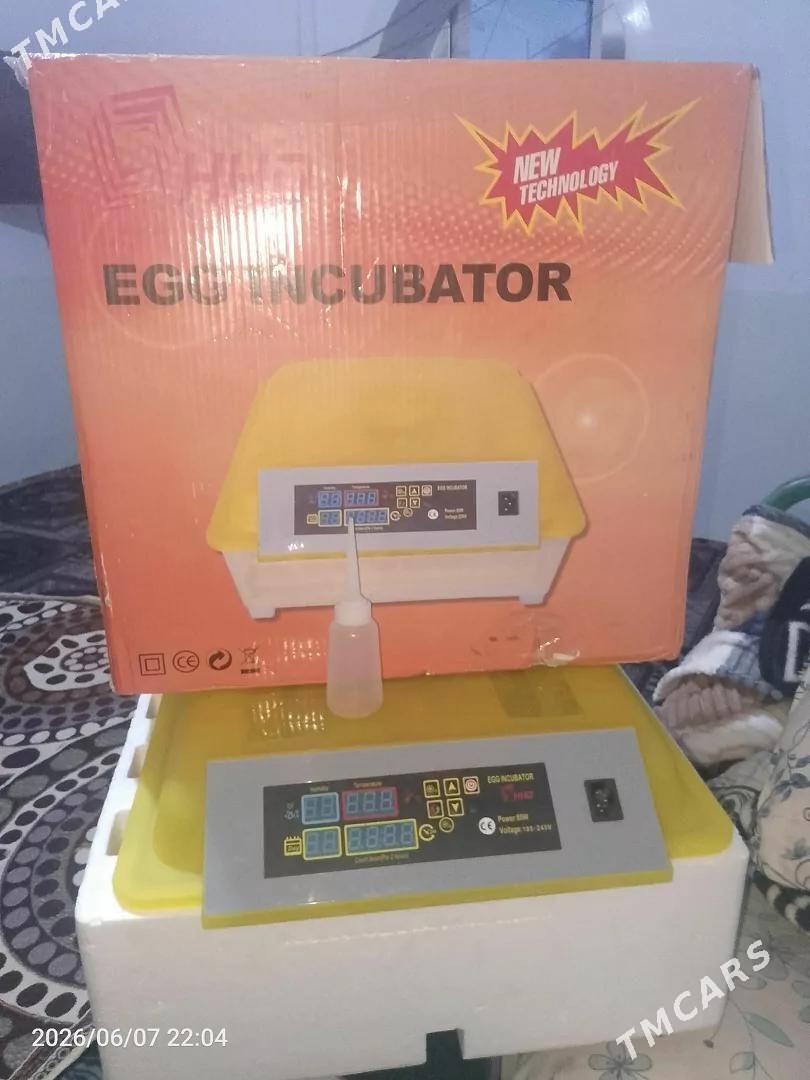 inkubator - Кака - img 1