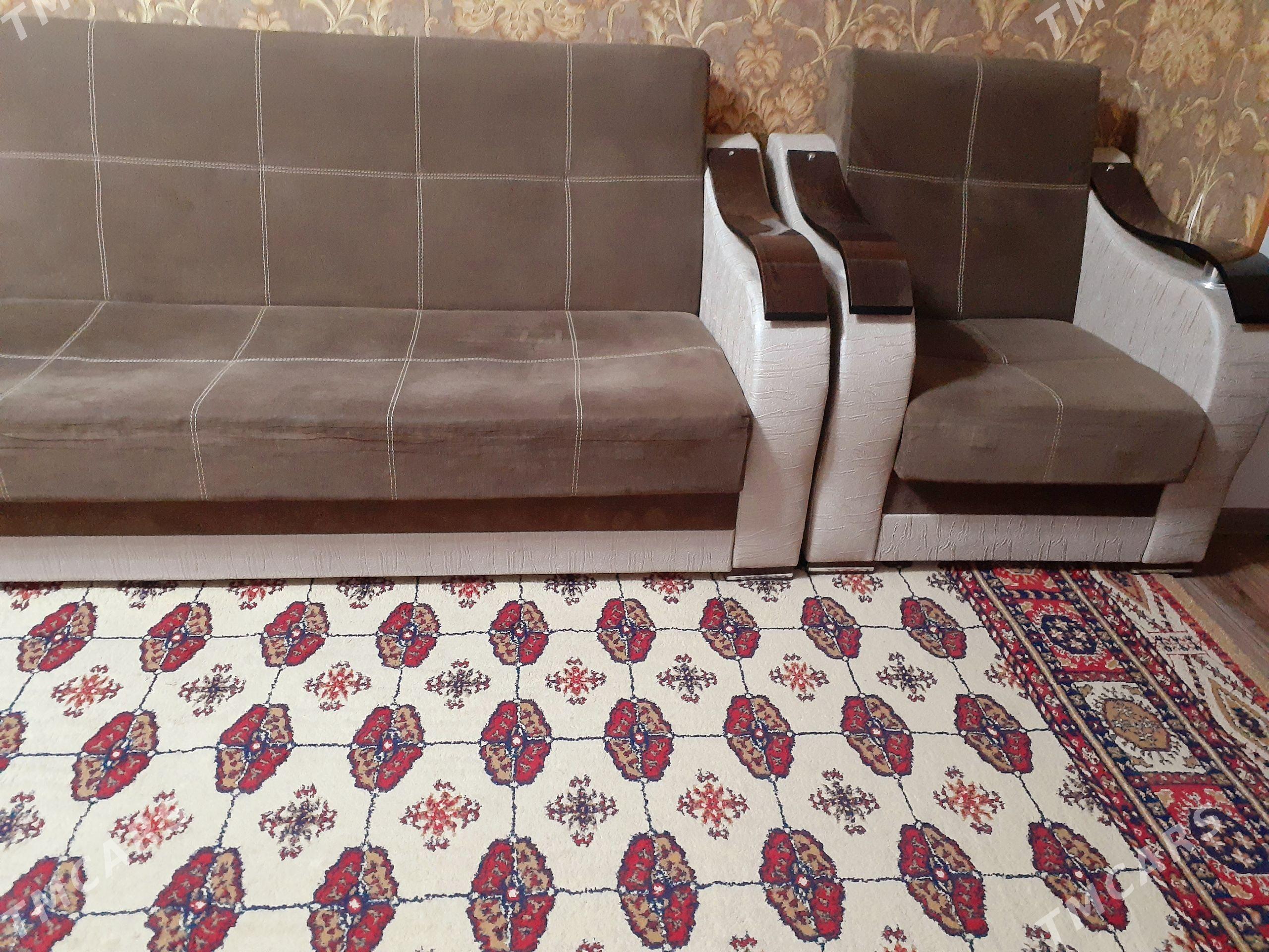 oy goslar - Aşgabat - img 1