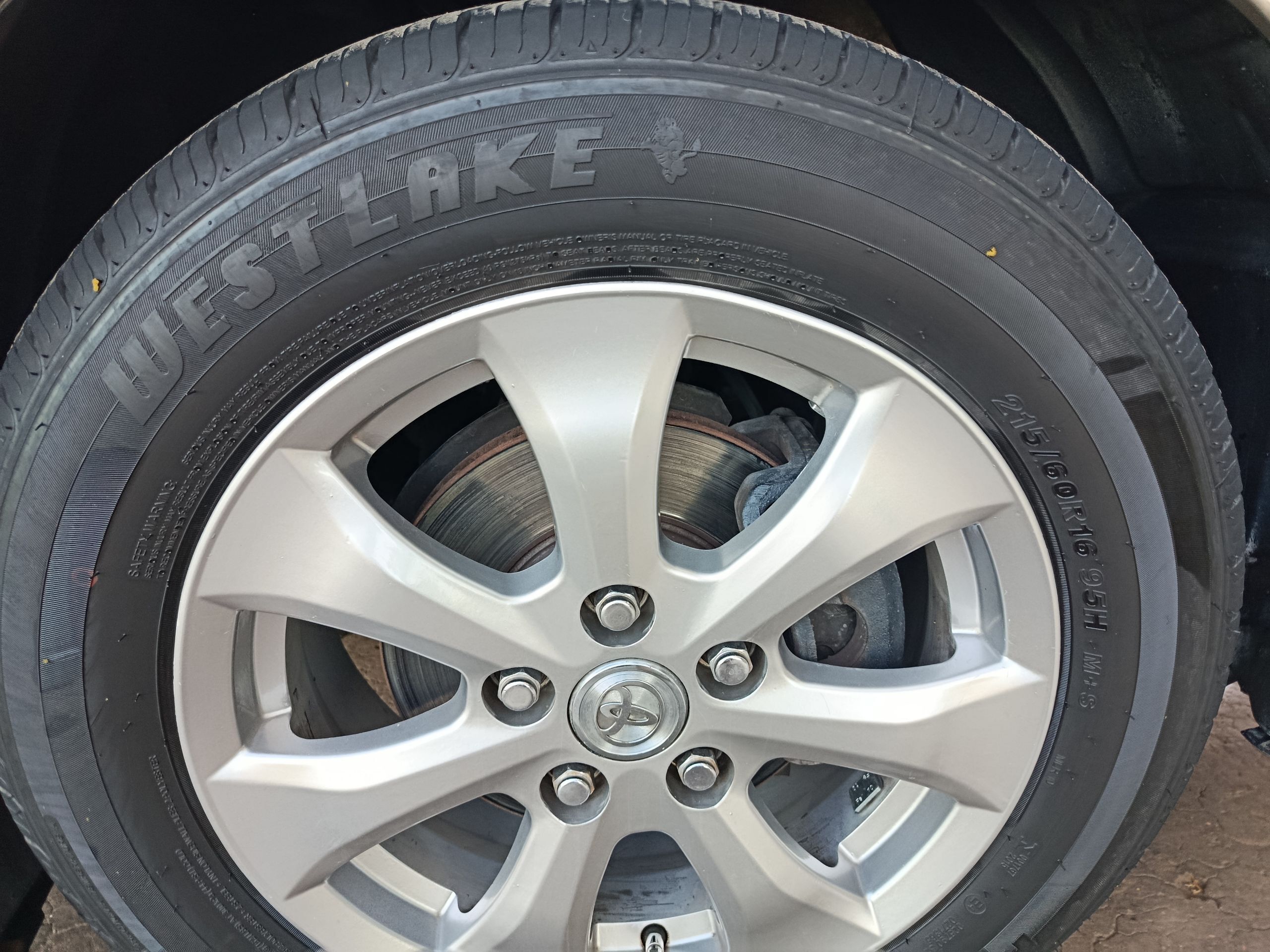 okuz kelle diska 5 500 TMT - Daşoguz - img 1