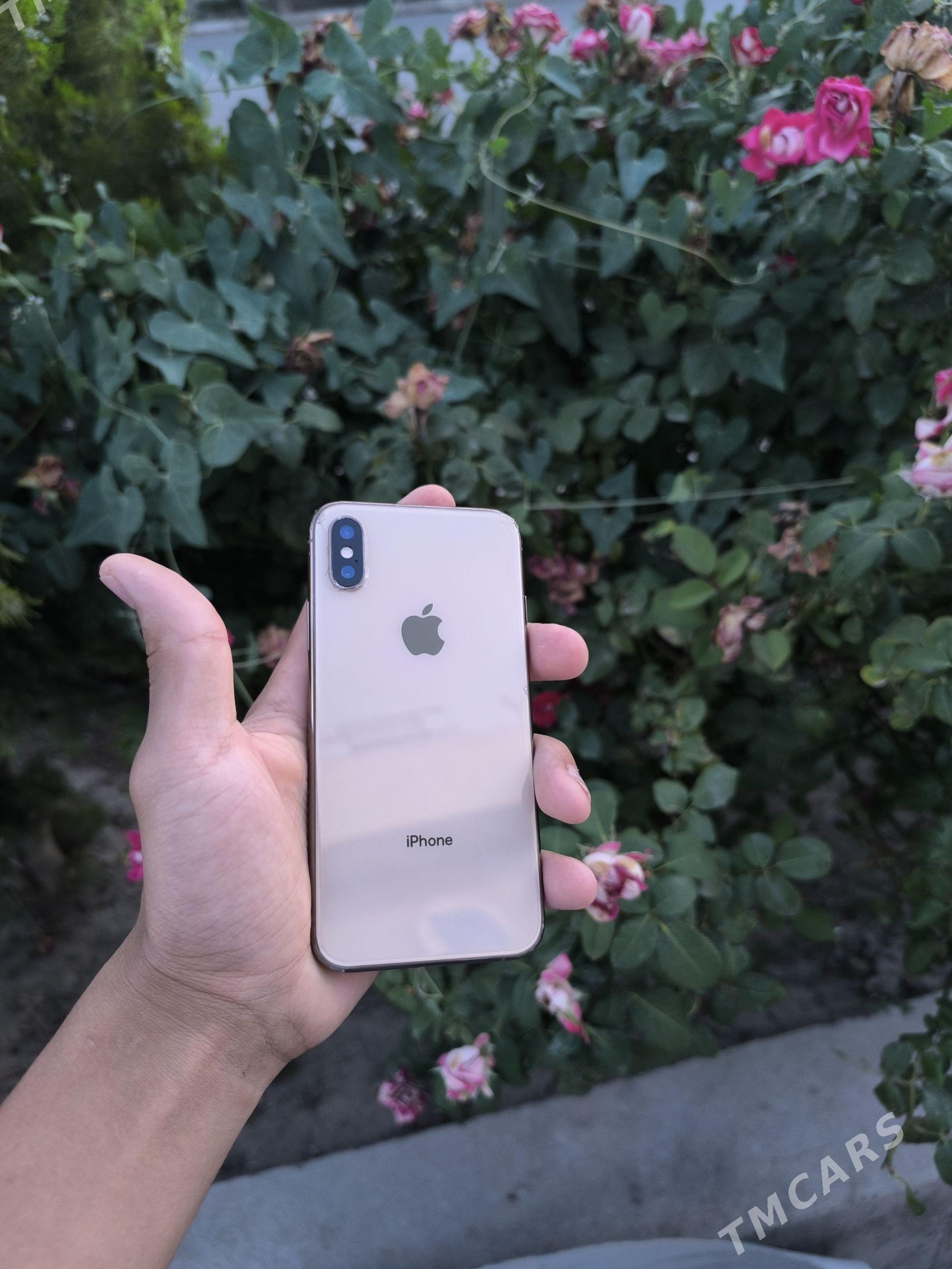 iphone xc - Дашогуз - img 1