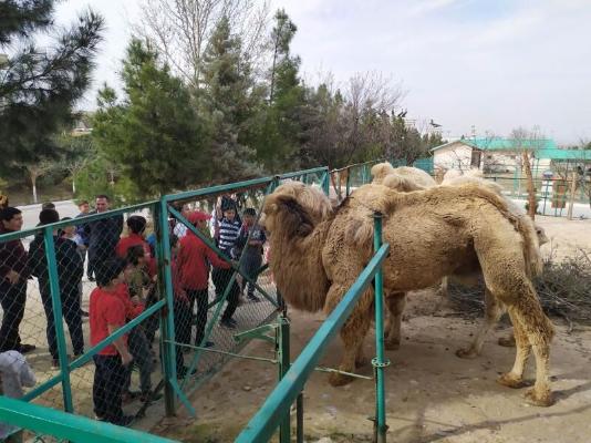 Aşgabatdaky Janly tebigatyň milli muzeýi ýene-de işläp başlady