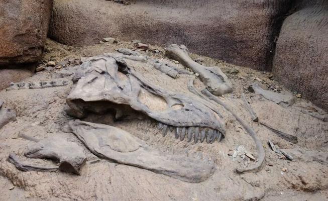 Палеонтологи идентифицировали останки динозавра из пустыни Кызылкум