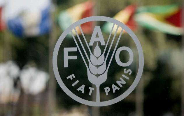 R.Meredow Türkmenistanda FAO-nyň wekilhanasyny açmak boýunça gepleşik geçirdi