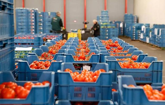 Россия может увеличить закупки сельхозпродукции из Туркменистана