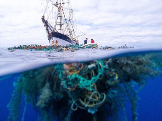 Plastik hapalar dünýä ummanynda patogenleriň ýaýramagyna kömek edýär