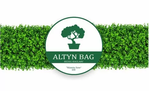 «ALTYN BAG» dekoratiw agaçlarynyň birnäçe görnüşlerini hödürleýär