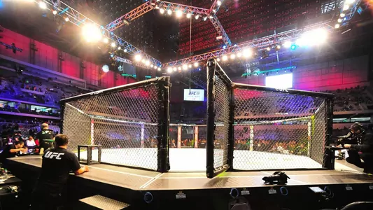 Названо место проведения турнира UFC 249