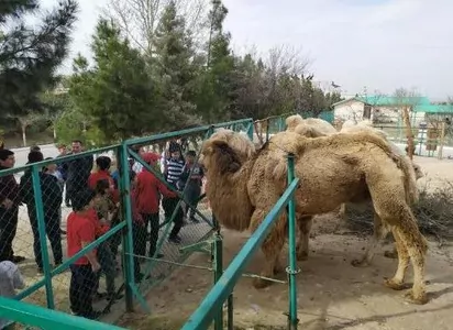 Aşgabatdaky Janly tebigatyň milli muzeýi ýene-de işläp başlady