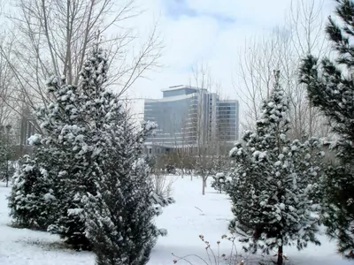В Туркменистане грядут снег и морозы