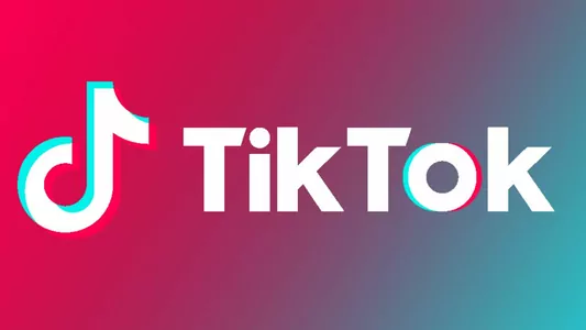 TikTok полностью прекратил работу в Индии