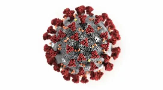 В США рассказали о первом случае повторного заражения коронавирусом