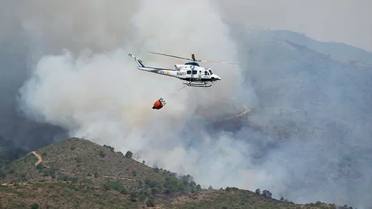 Лесные пожары в Испании уничтожили 9 тысяч га леса