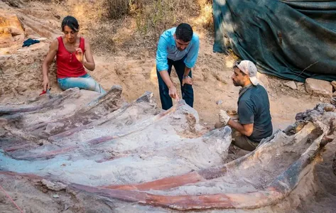 В Португалии обнаружены останки крупнейшего в Европе динозавра