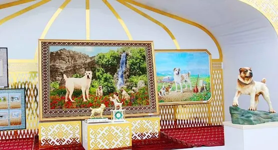 Halkara «Türkmen alabaý itleri» assosiasiýasynyň III mejlisi 2023-nji ýylyň oktýabrynda geçiriler