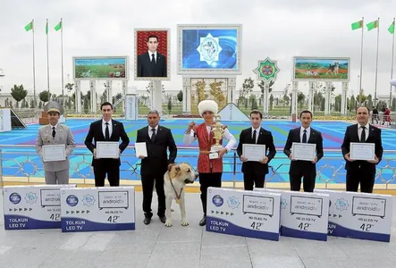 Türkmen alabaýynyň keşbini çeper beýan etmek bäsleşiginiň ýeňijileri yglan edildi