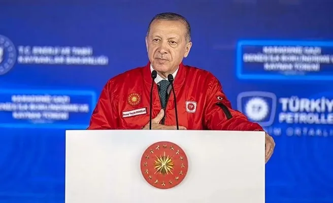 Эрдоган дал старт поставкам в Турцию черноморского газа