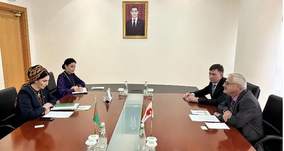 Türkmenistanyň DIM-inde Halkara Gyzyl Haç Komitetiniň wekili bilen duşuşyk geçirildi