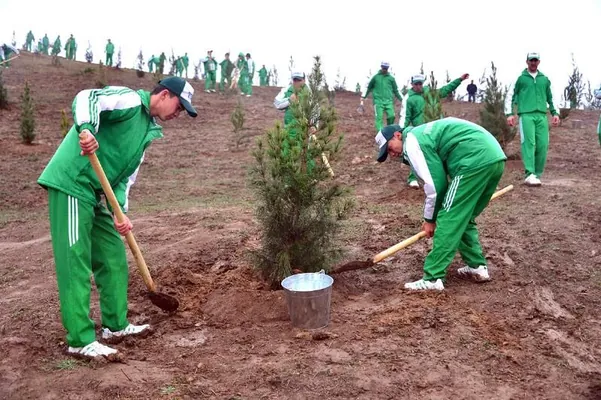 4-nji noýabrda Türkmenistanyň ähli ýerinde bag ekmek dabarasy geçiriler