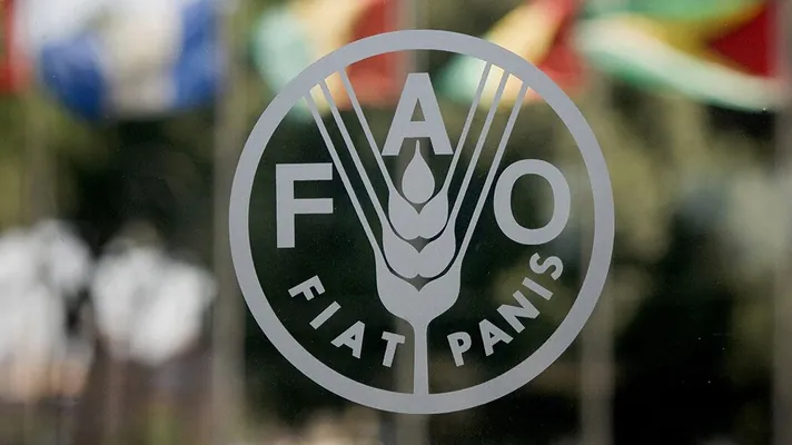 FAO-nyň bilermenler topary Türkmenistana geldi