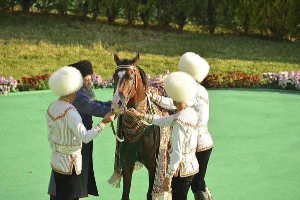 Искусство ахалтекинского коневодства включили в список культурного наследия ЮНЕСКО
