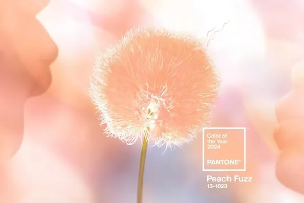 Pantone 2024-nji ýylyň reňkini yglan etdi