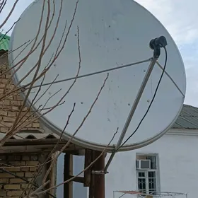 anten