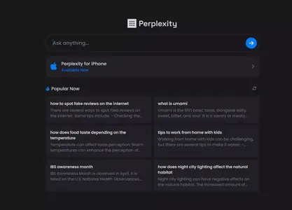 У Google появился конкурент – онлайн-поисковик Perplexity с ИИ